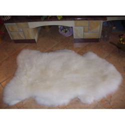 balta aitāda ar vidēji garu biezu vilnu