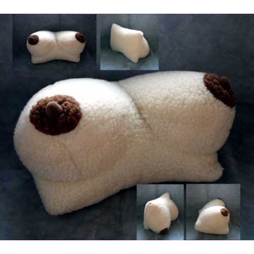 aitasvilnas spilvens - pupi