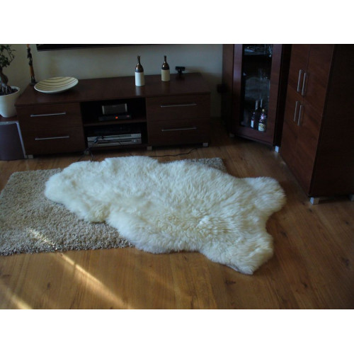 Balta aitāda ar vidēji garu biezu vilnu