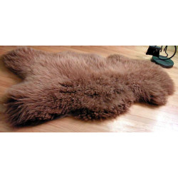 brūnā aitāda ar vidēji garu vilnu