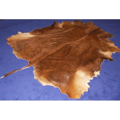 govs āda - vidējā