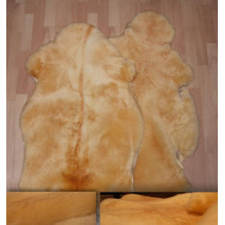 aitāda ekoloģiski ģērēta, apcirptā,