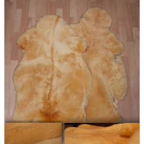 aitāda ekoloģiski ģērēta, apcirptā,