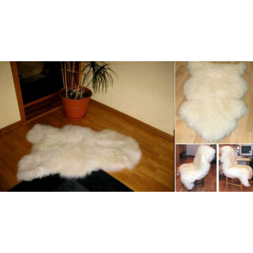 balta aitāda ar vidēji garu biezu vilnu. pluss